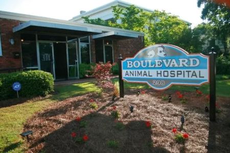 Boulevard Animal Hospital