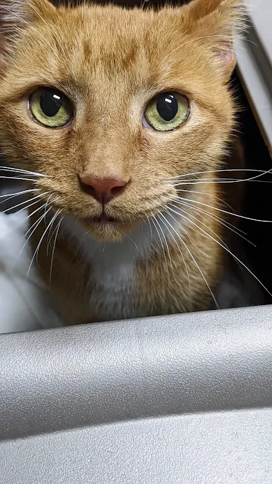 Boulevard Animal Hospital 9
