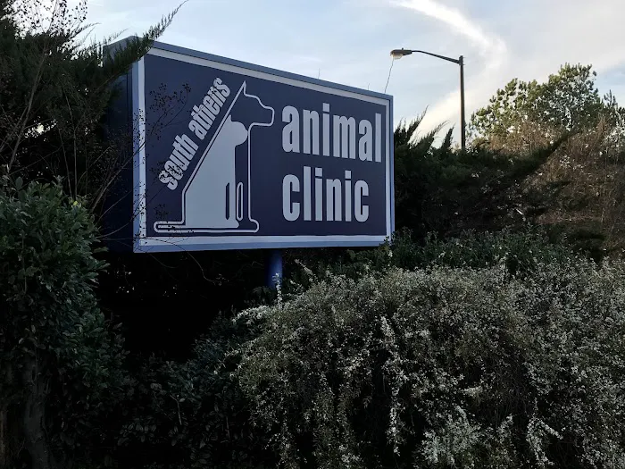 South Athens Animal Clinic 8