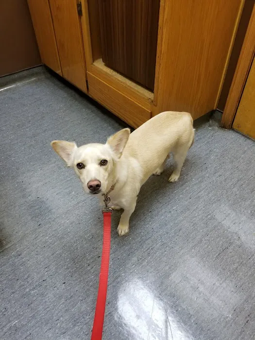 South Athens Animal Clinic 6
