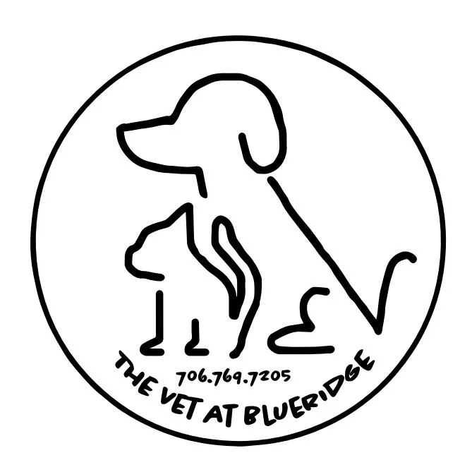 Vet At Blueridge 5