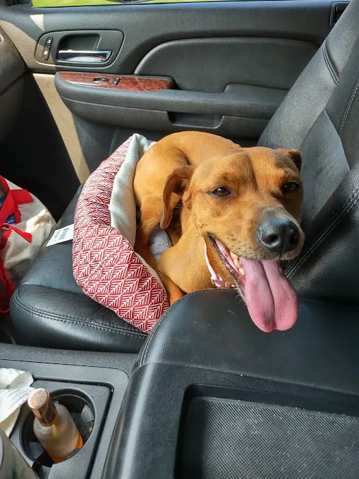 Four Paws Animal Hospital 12