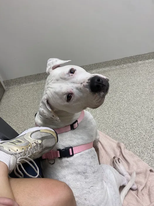 UGA Pet Health Center 2