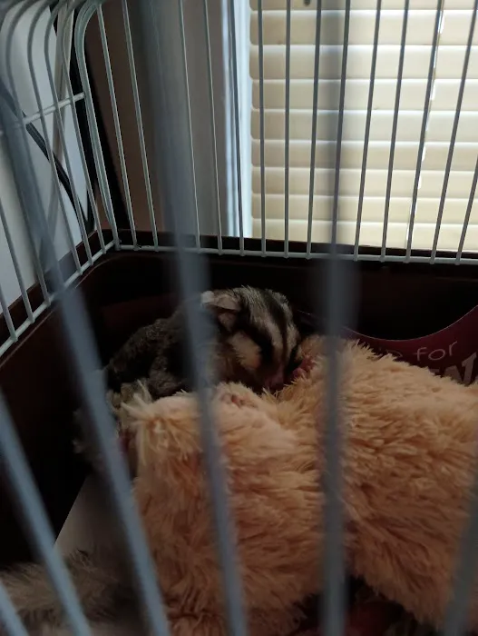 UGA Pet Health Center 8