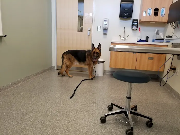 UGA Veterinary Teaching Hospital 12