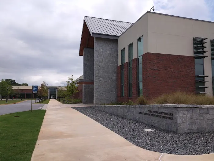 UGA Veterinary Teaching Hospital 12