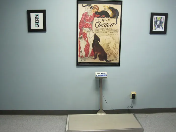 Shoal Creek Animal Clinic 4