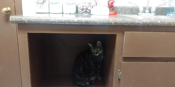 Shoal Creek Animal Clinic 7