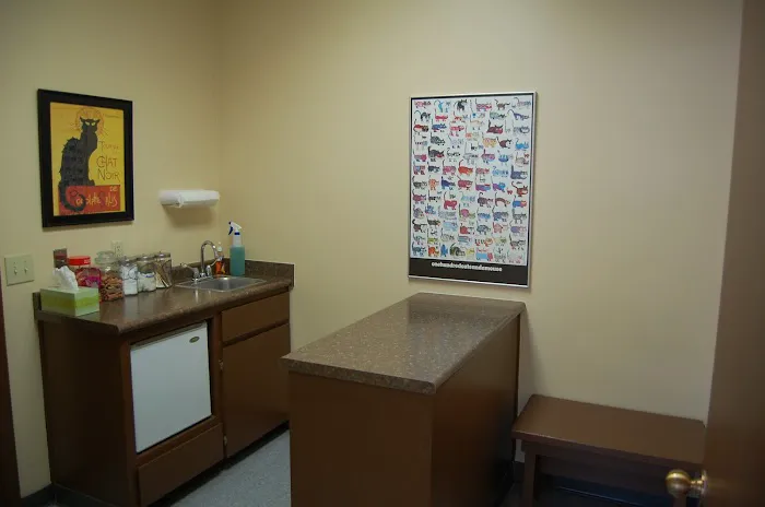 Shoal Creek Animal Clinic 2