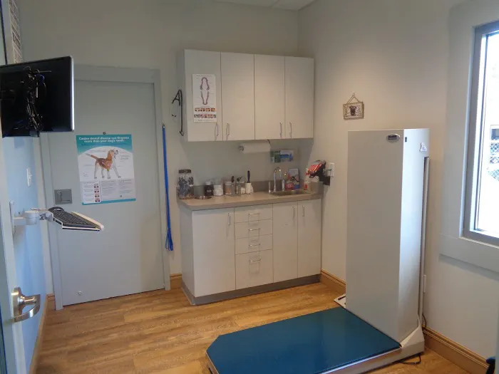 Bethel Animal Hospital 12