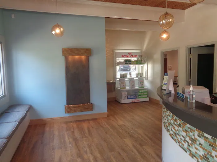 Bethel Animal Hospital 12
