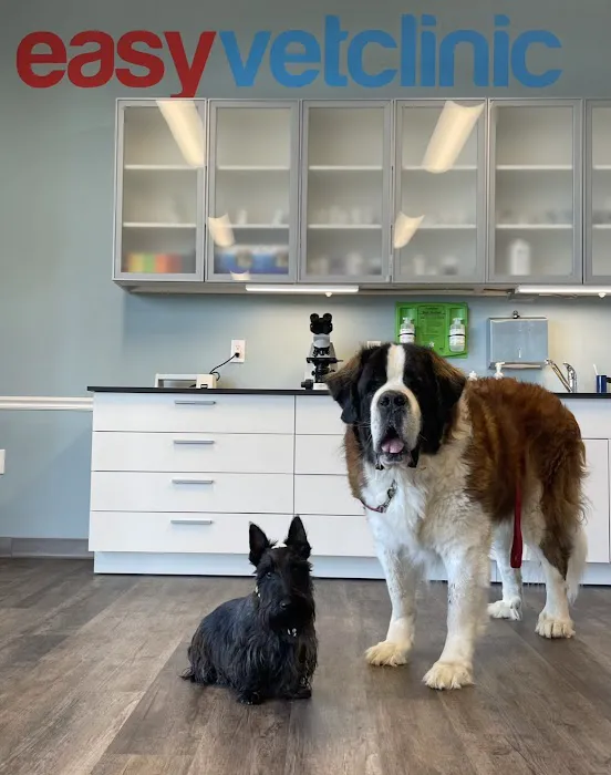 easyvet Veterinarian Cumming 12