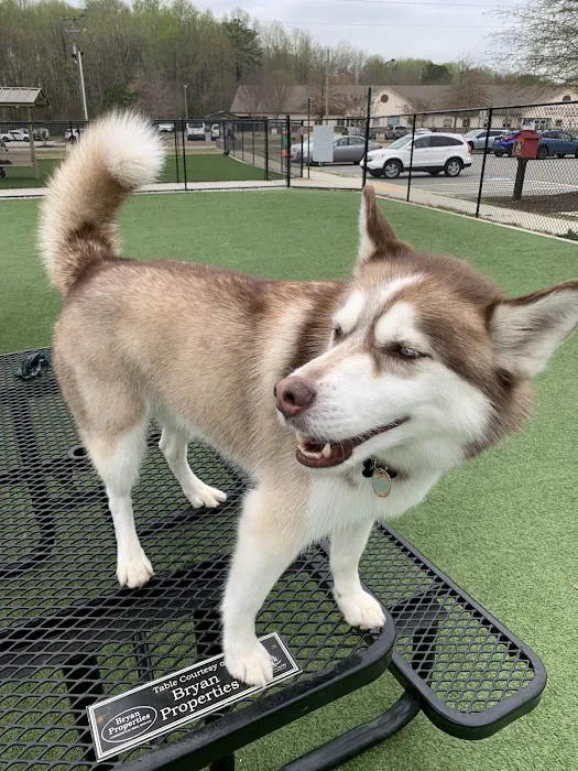 Walmart Pet Services 6