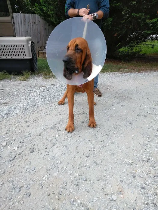 Clermont Veterinary Hospital: Ingle Linda K DVM 3
