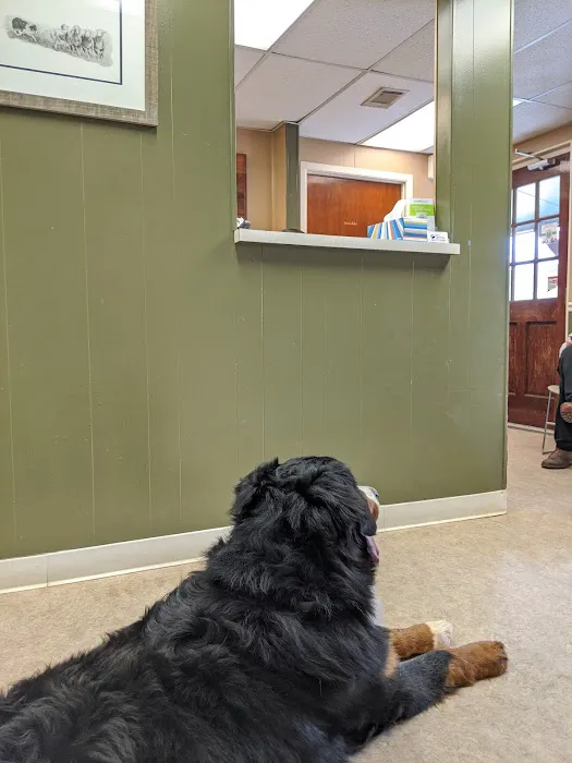 Clermont Veterinary Hospital: Ingle Linda K DVM 2