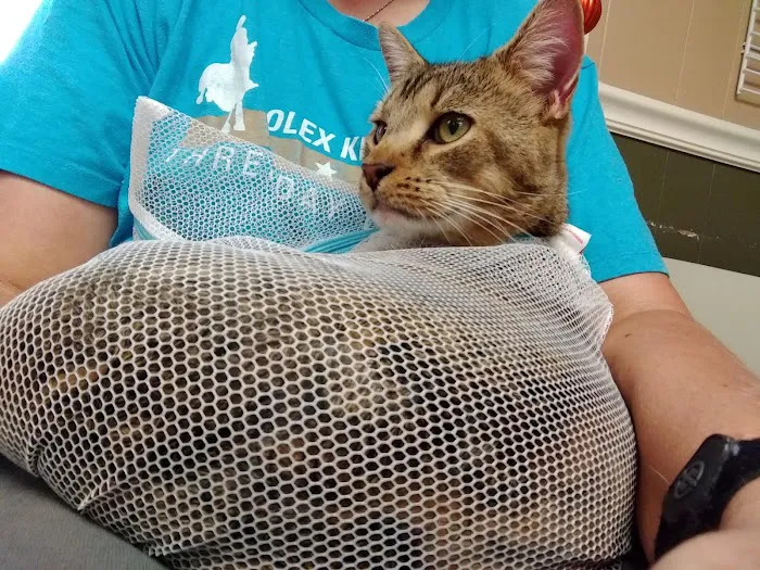 Clermont Veterinary Hospital: Ingle Linda K DVM 4