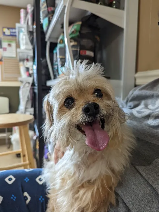 Clermont Veterinary Hospital 12