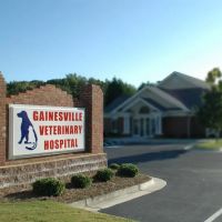 Gainesville Veterinary Hospital ico