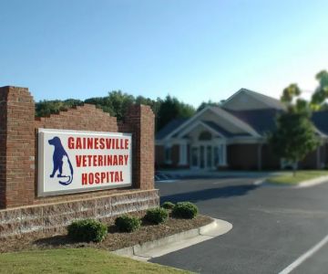 Gainesville Veterinary Hospital