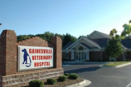 Gainesville Veterinary Hospital