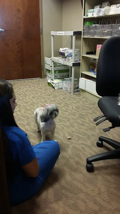 Gainesville Veterinary Hospital 6