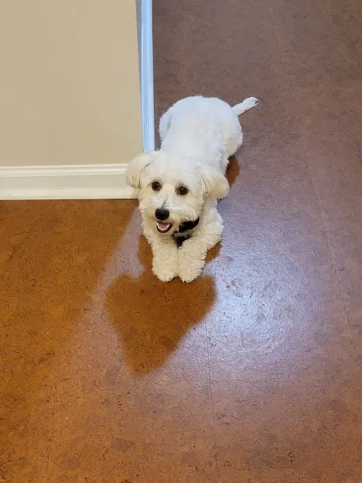 Gainesville Veterinary Hospital 2