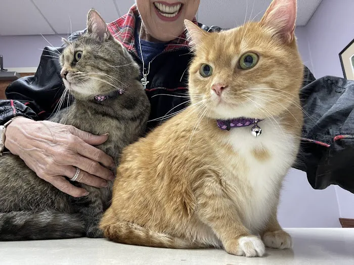Animal Medical Care 6