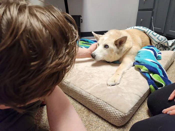 Oakwood Animal Hospital 2