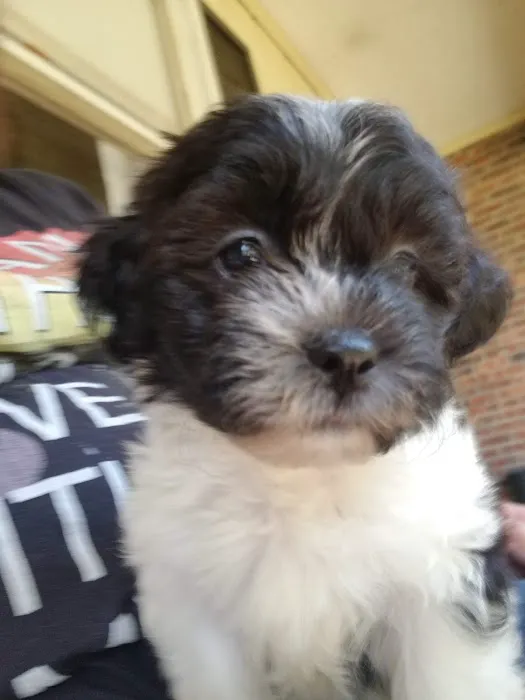 Family Pet Clinic 12