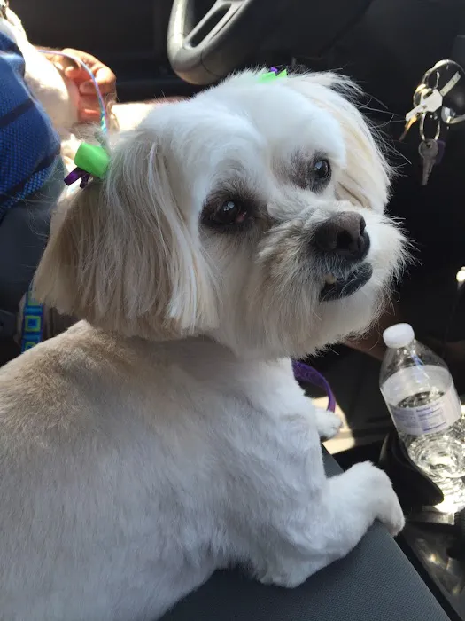 Family Pet Clinic 12