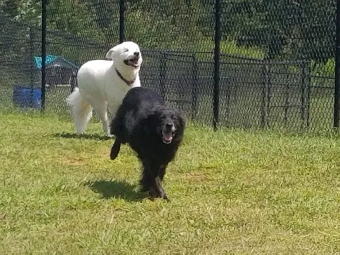 Family Pet Clinic 12