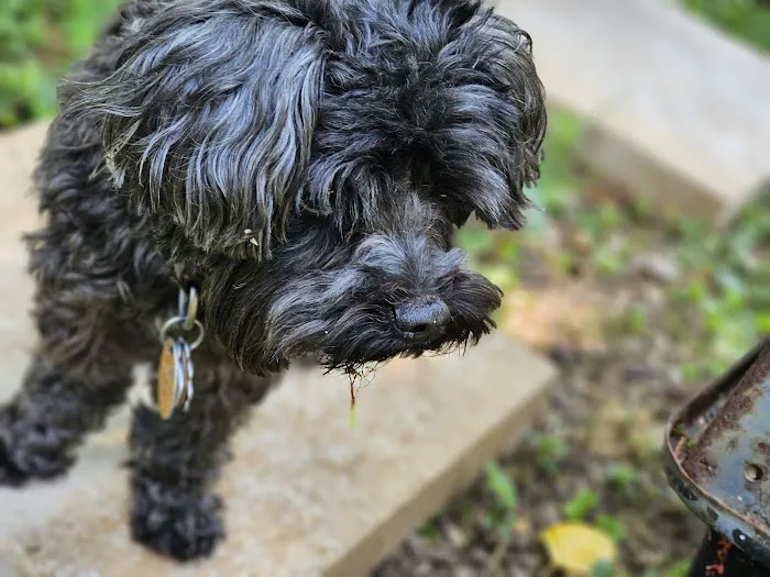 Healthy Pet Clinic at the Humane Society of Northeast Georgia 7