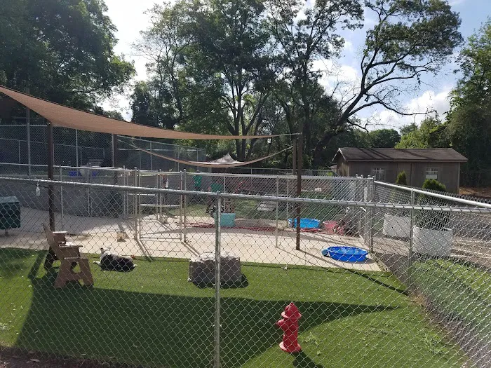 Healthy Pet Clinic at the Humane Society of Northeast Georgia 9