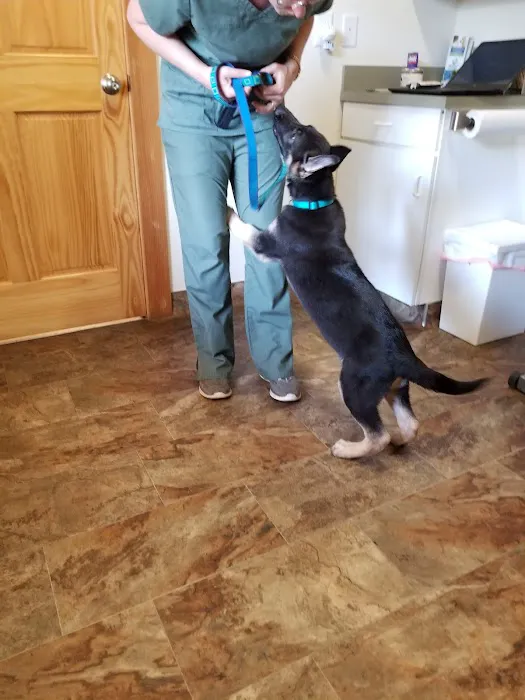 Mt. Yonah Animal Hospital 7