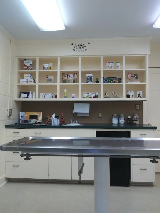Cleveland Veterinary Hospital 12