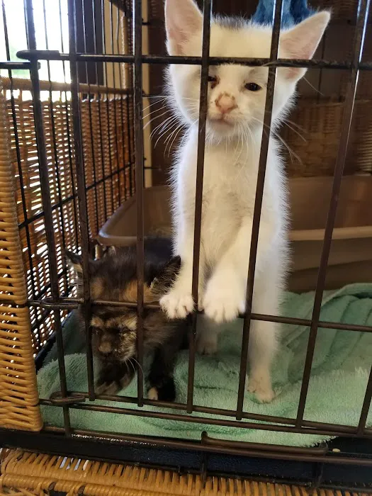 Opelika Animal Hospital 1