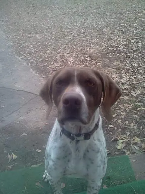 Opelika Animal Hospital 2