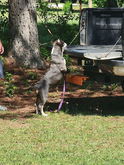 Opelika Animal Hospital 7