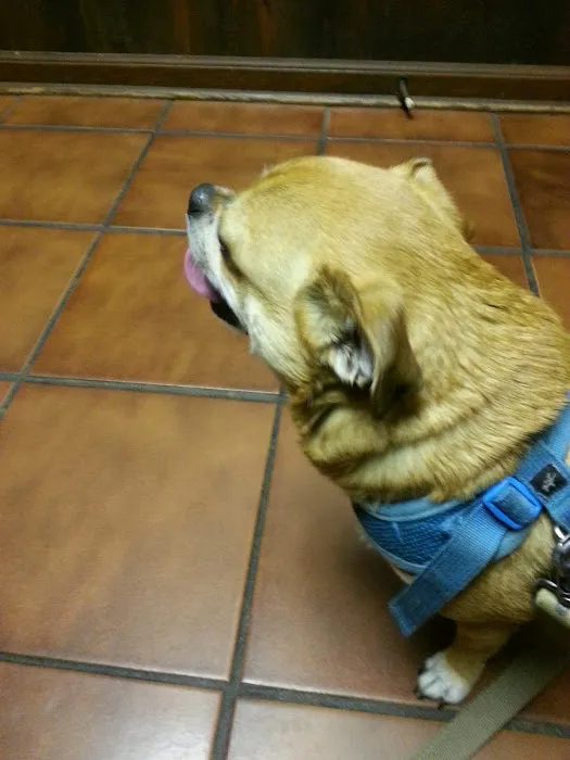 Animal Health Center 12
