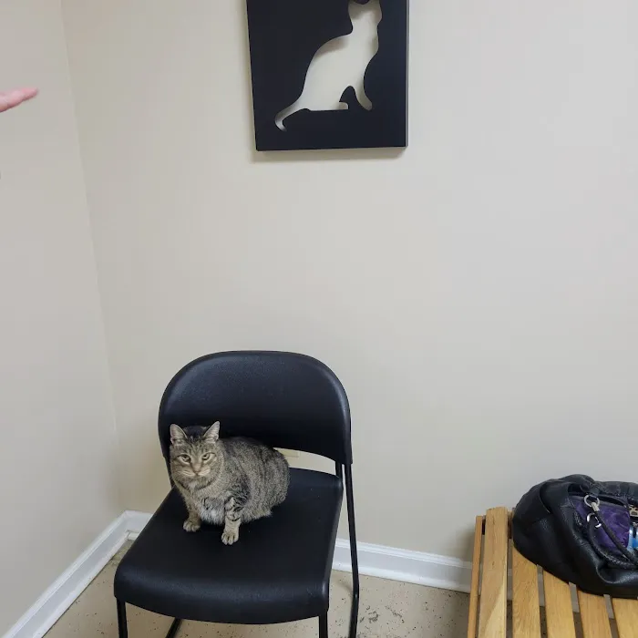 Dalton Veterinary Practice & Kitty Korner 5