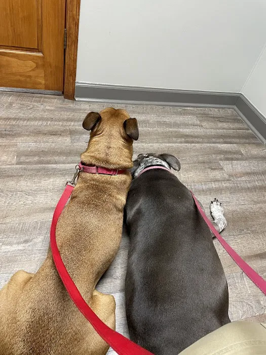 Animal Hospital of Gordon County 6