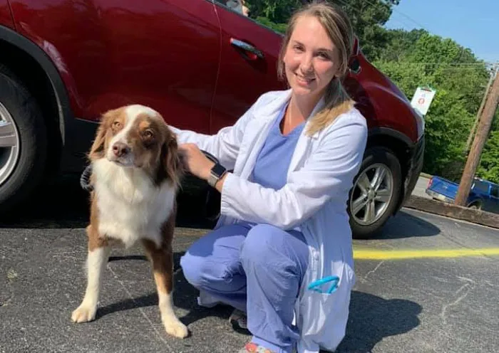 Animal Hospital of Gordon County 7