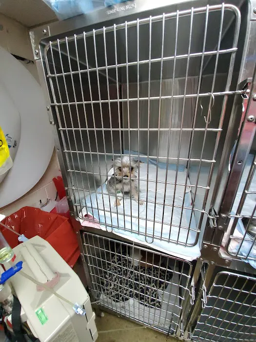 Murray County Veterinary Services 5