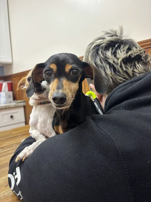 Southeastern Veterinary Services 12