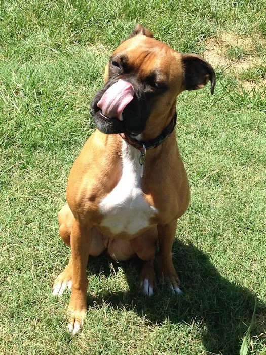 Appalachian Animal Clinic 12