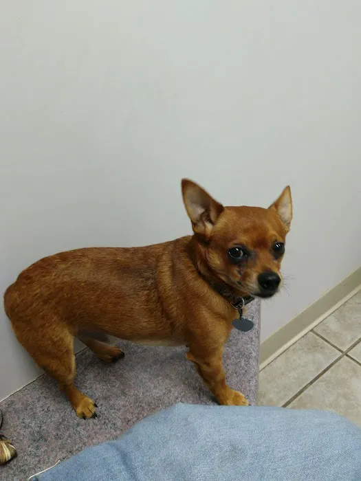 Appalachian Animal Clinic 12