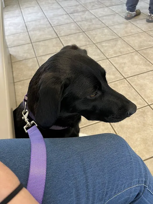Appalachian Animal Clinic 12