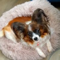 Keith Street Animal Clinic ico
