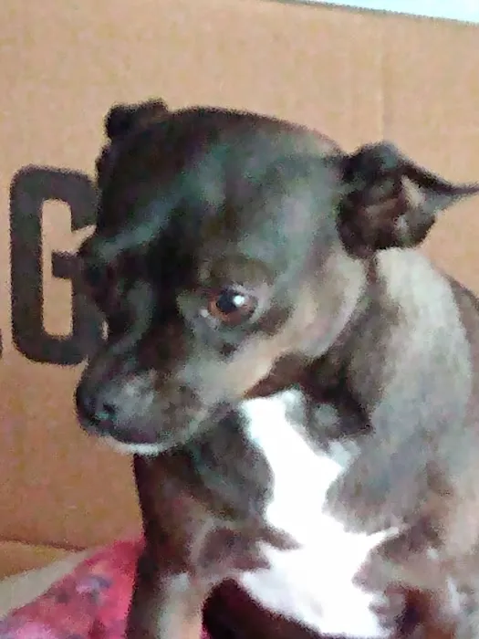 Keith Street Animal Clinic 3