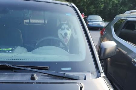 Summerville Veterinary Clinic